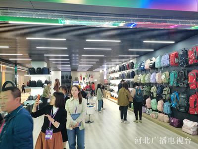 創(chuàng)新驅(qū)動與全球視野 2023中國·白溝國際箱包博覽會開幕紀實